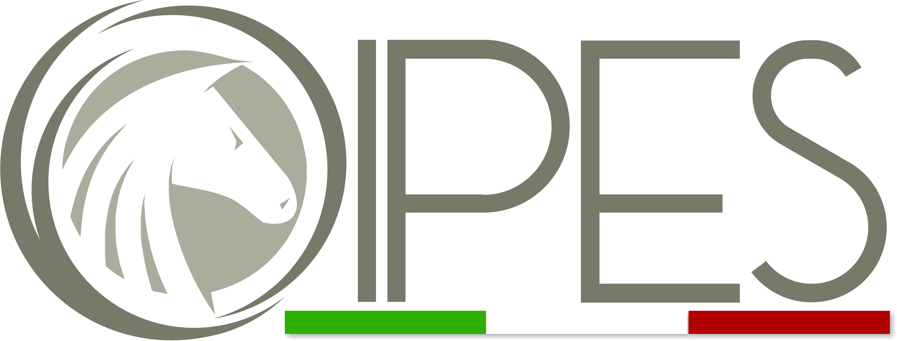 OIPES