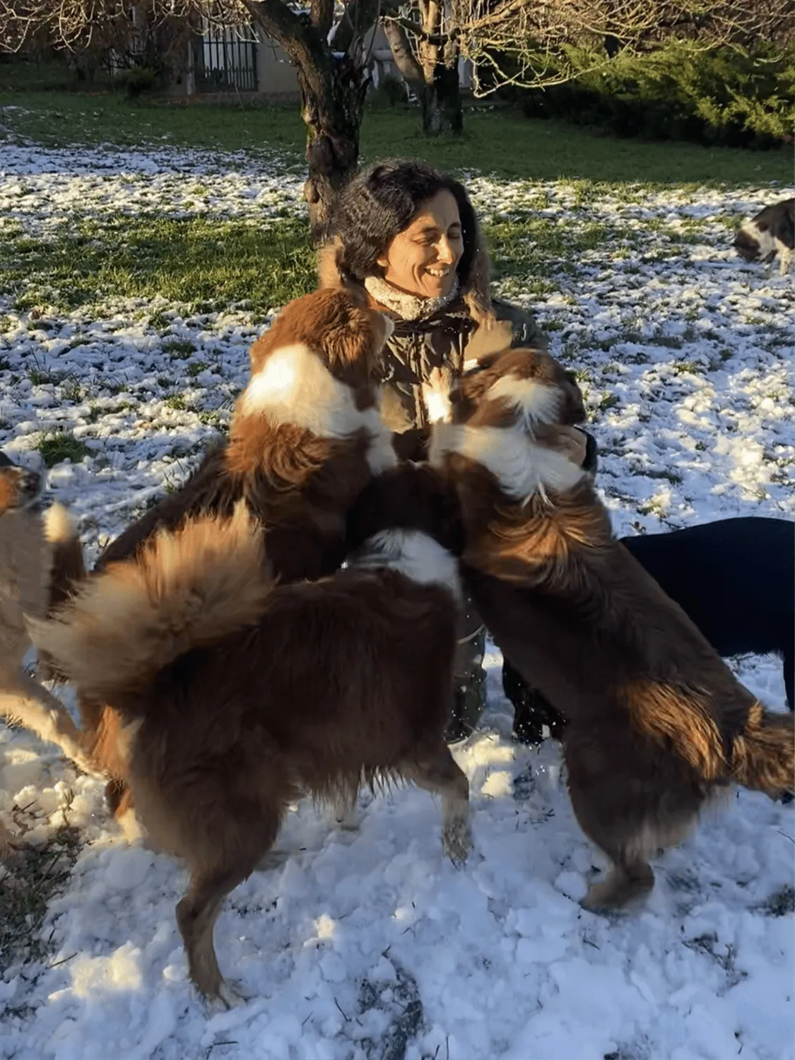 Lavoro sul campo con il cane durante il percorso EsCAC