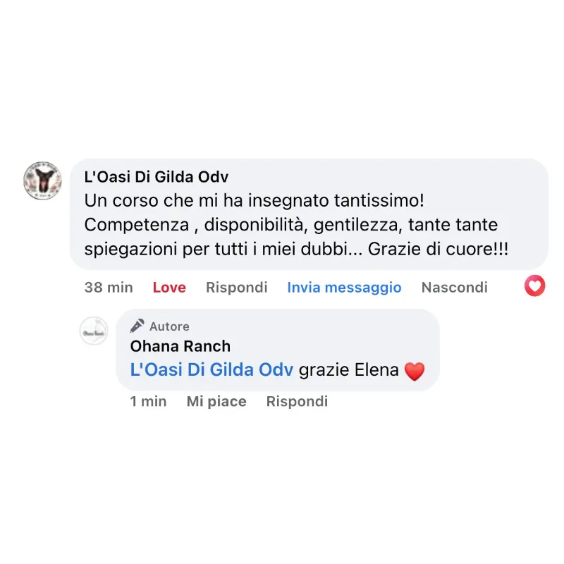 Recensione
