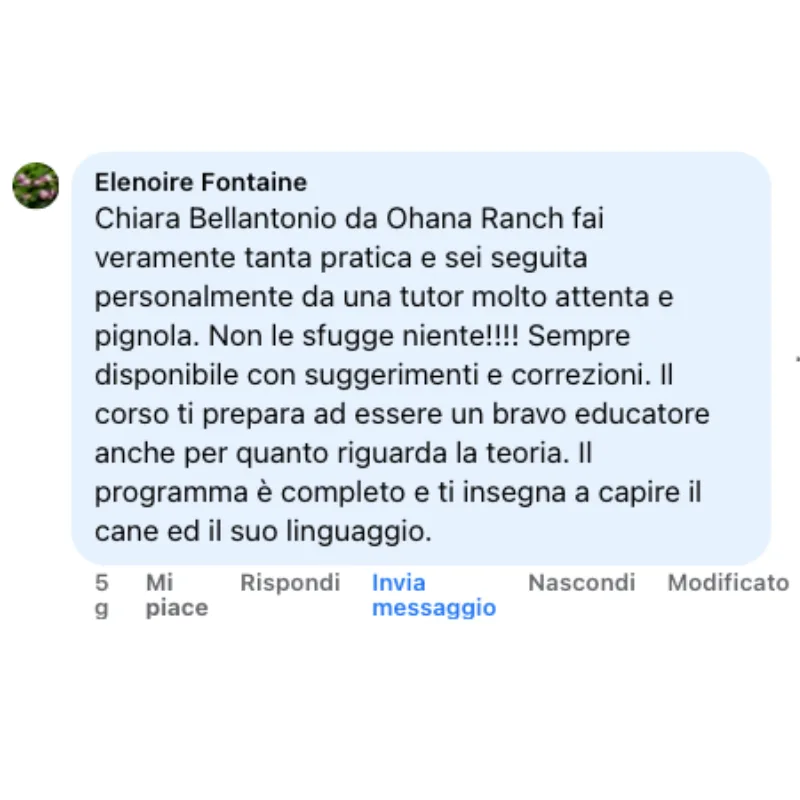 Recensione