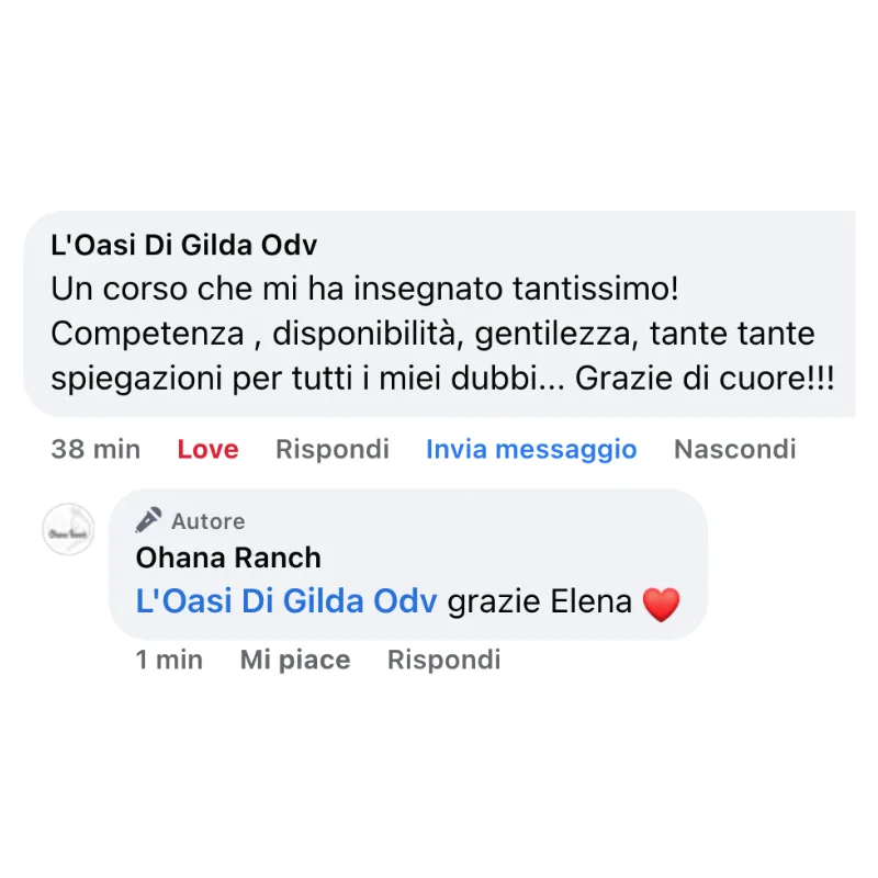 Recensione
