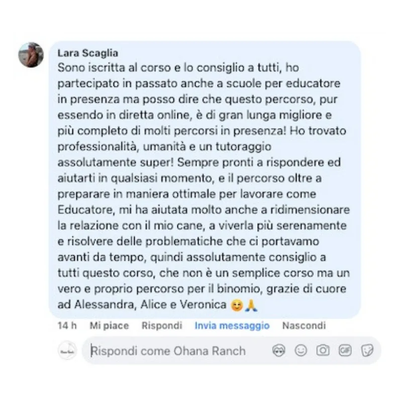 Recensione